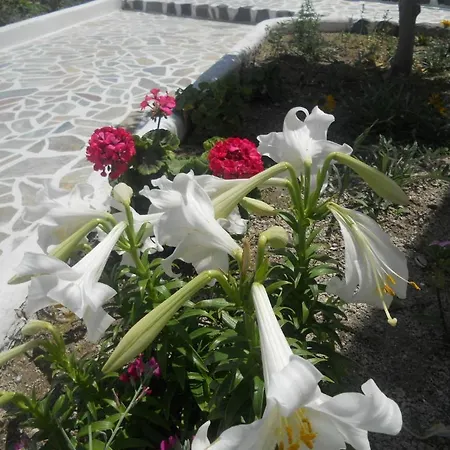 Ostria Καμάρι